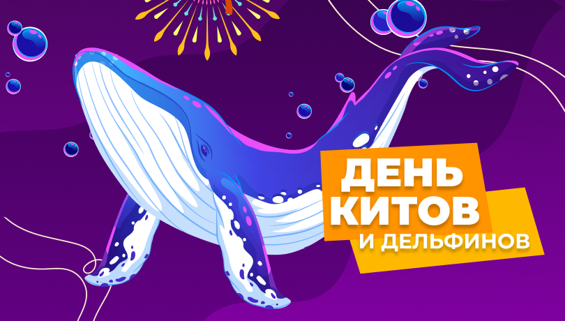 Скидки в международный день китов и дельфинов