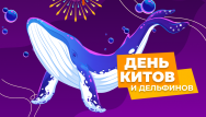 Скидки в международный день китов и дельфинов